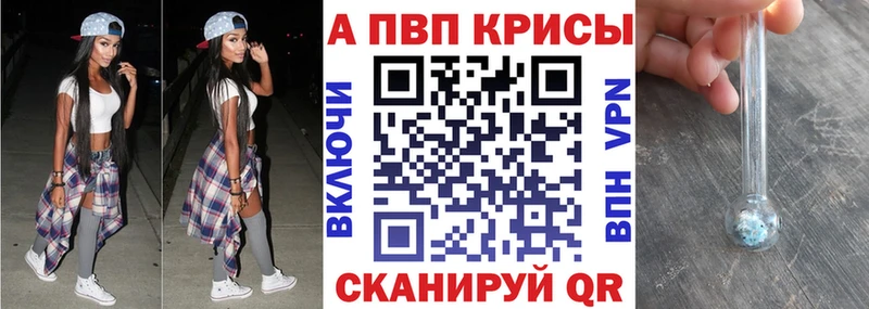 A PVP СК КРИС  Сясьстрой 