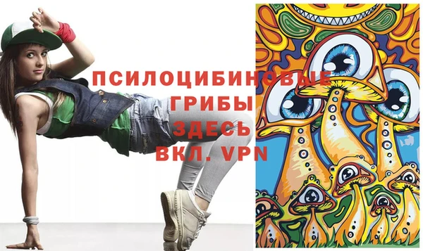 apvp Магадан