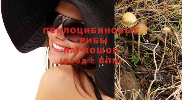 apvp Магадан