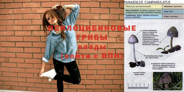 apvp Магадан